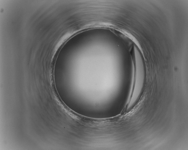 X0000073720997200608241227