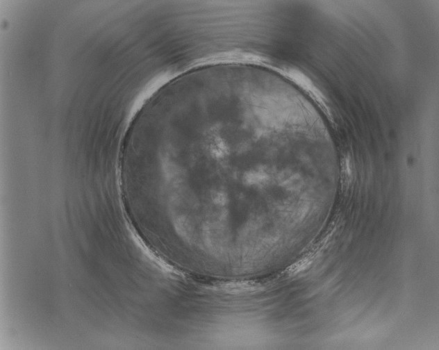 X0000073720998200608241227