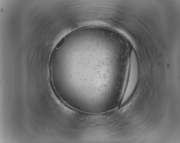 X0000073720999200608241227