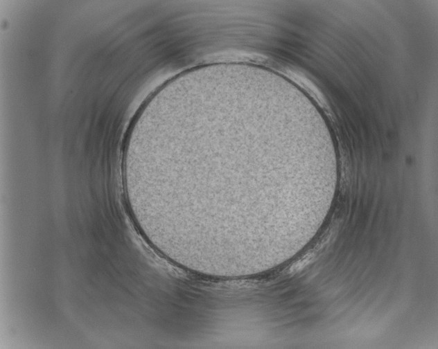 X0000073721000200608241227