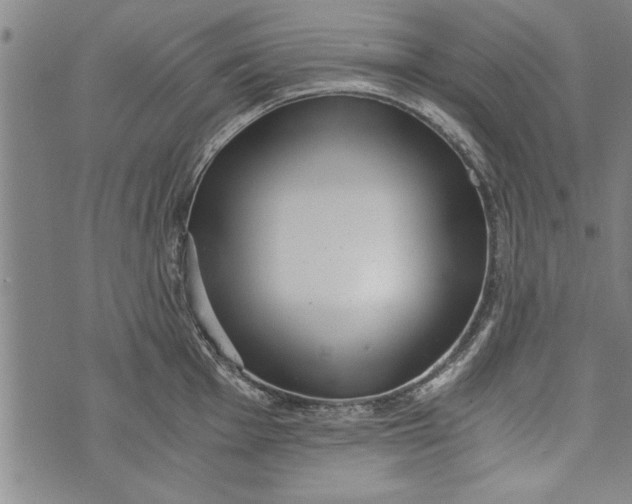 X0000073721001200608241227