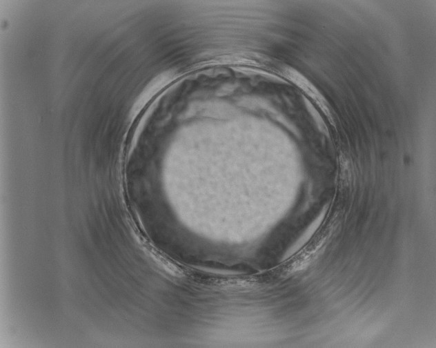 X0000073721002200608241227