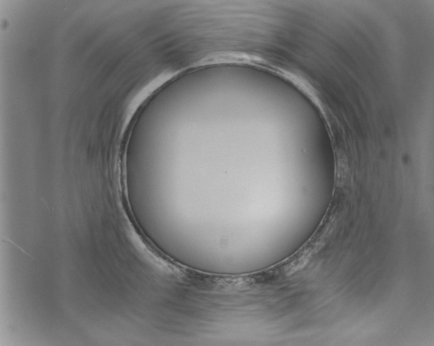 X0000073721003200608241227