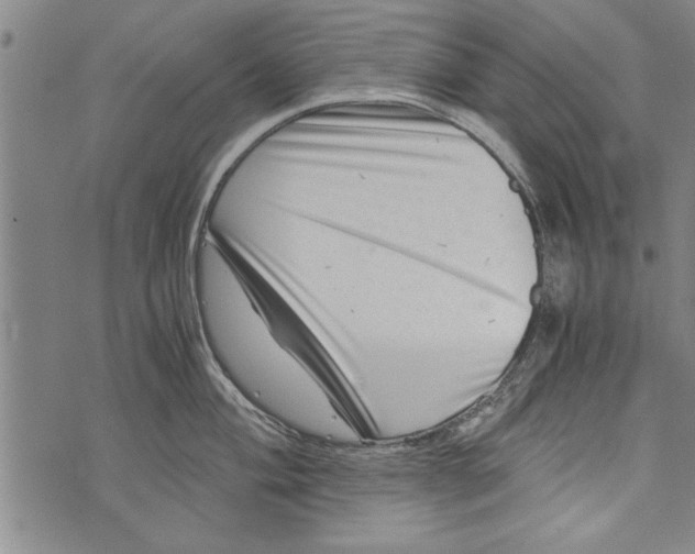 X0000073721004200608241227