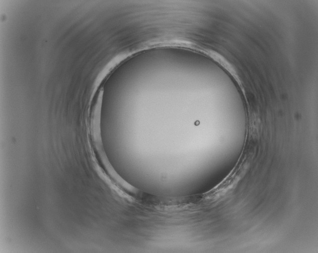 X0000073721005200608241227