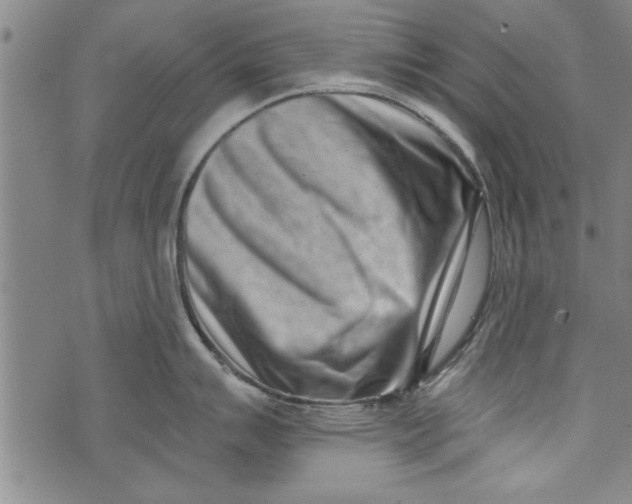 X0000073721007200608241227