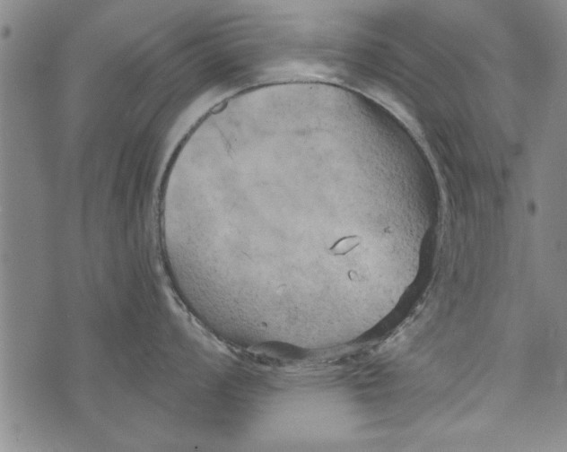 X0000073721008200608241227