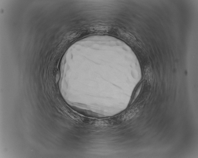 X0000073721009200608241226