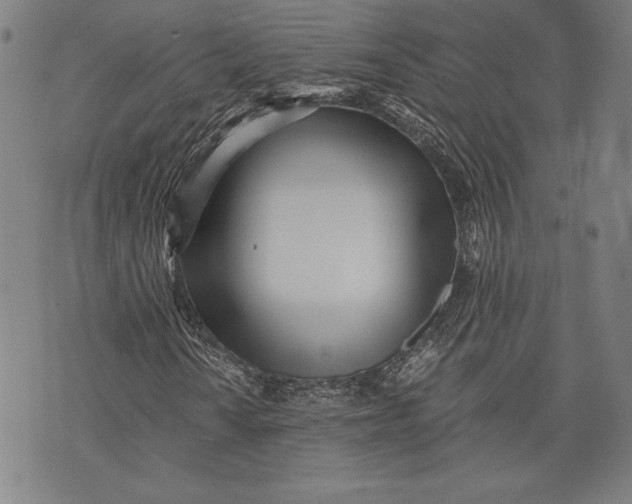 X0000073721010200608241226