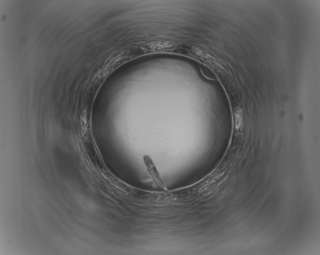 X0000073721011200608241226