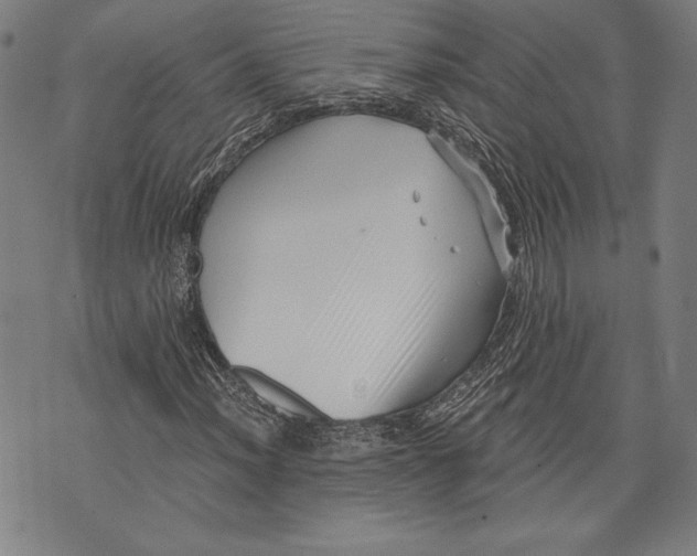 X0000073721012200608241226