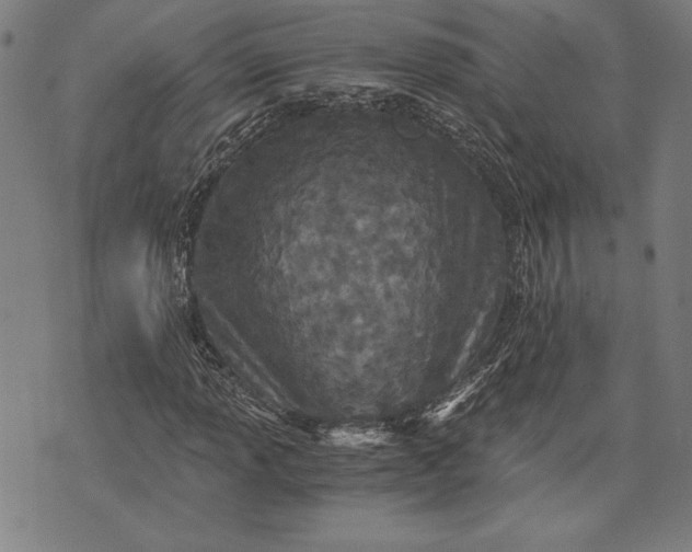 X0000073721013200608241226