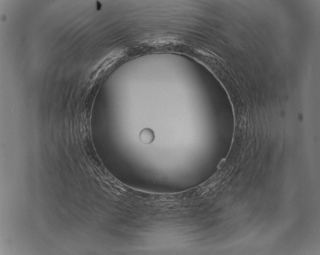 X0000073721014200608241226