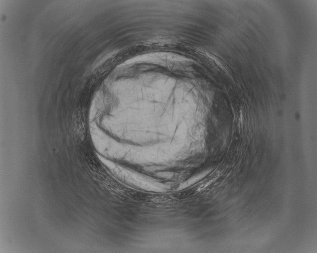 X0000073721015200608241226