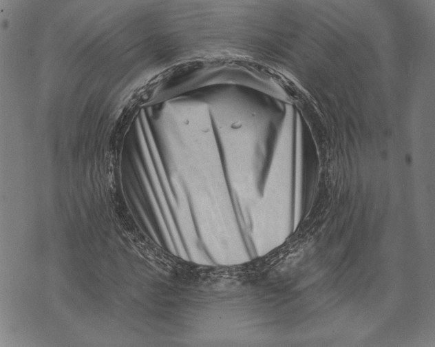 X0000073721016200608241226