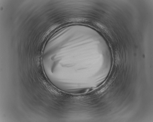 X0000073721017200608241226