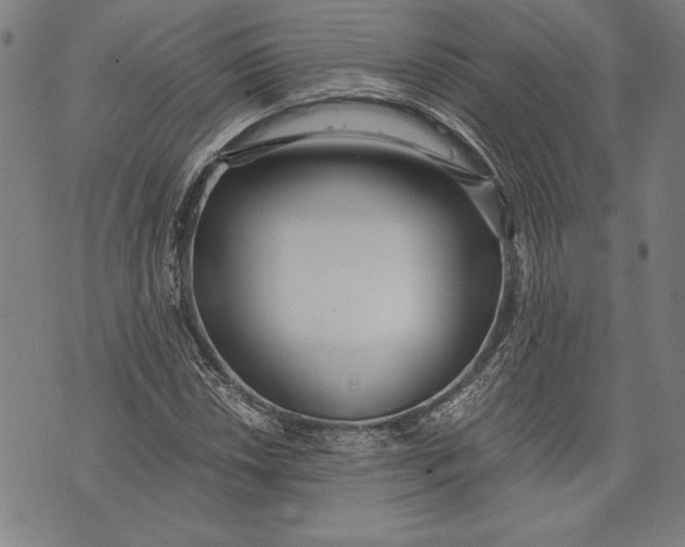 X0000073721018200608241226