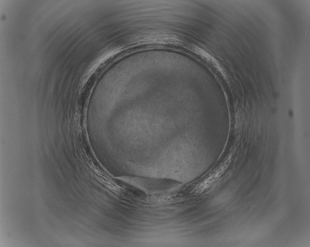 X0000073721019200608241226