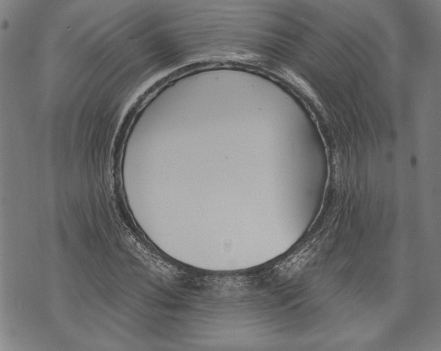 X0000073721020200608241226