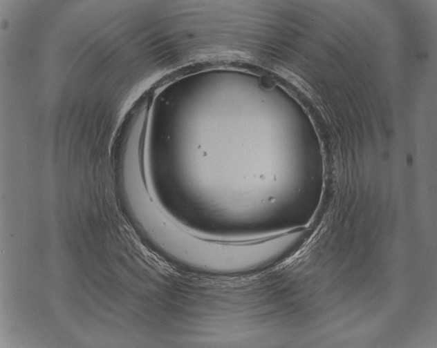 X0000073721022200608241226