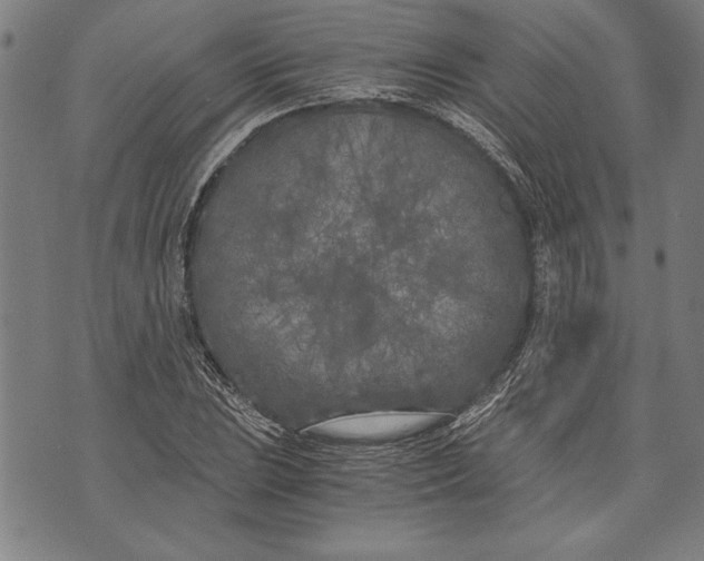 X0000073721023200608241226