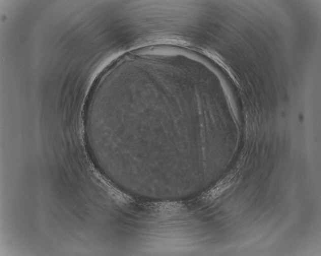 X0000073721024200608241227