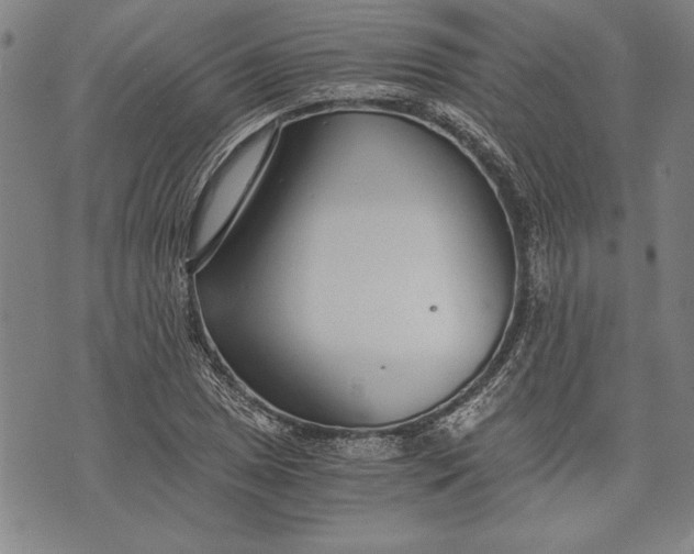 X0000073721025200608241227