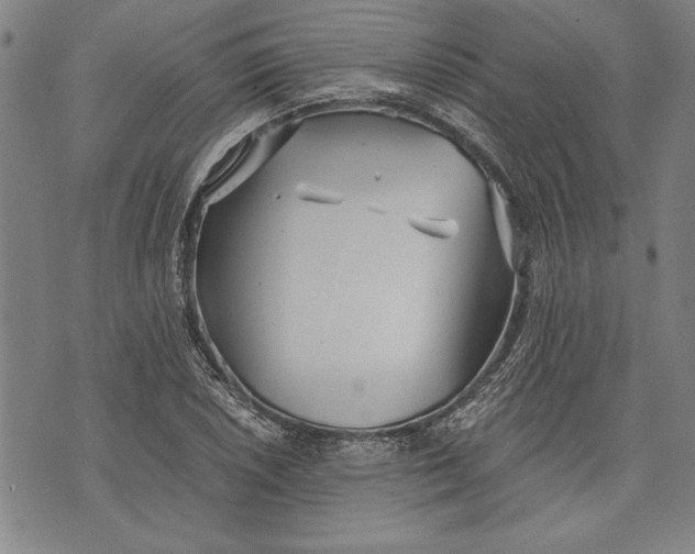 X0000073721026200608241227