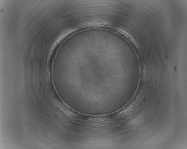 X0000073721027200608241227