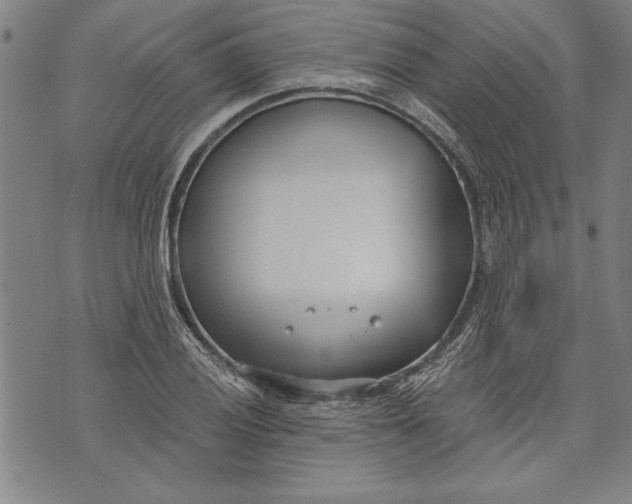 X0000073721028200608241227