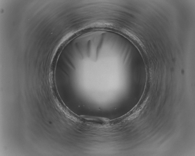 X0000073721029200608241227