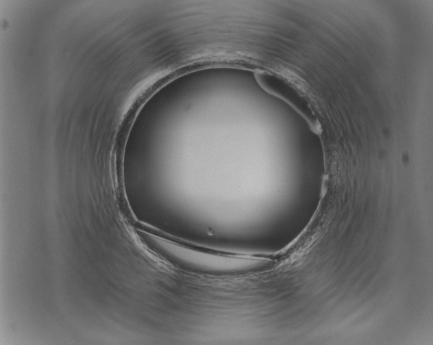 X0000073721030200608241227