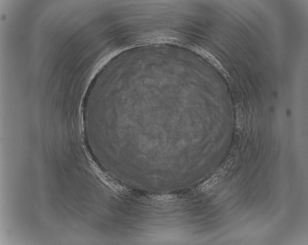 X0000073721031200608241227