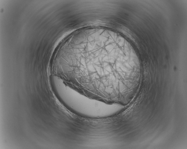 X0000073721032200608241227