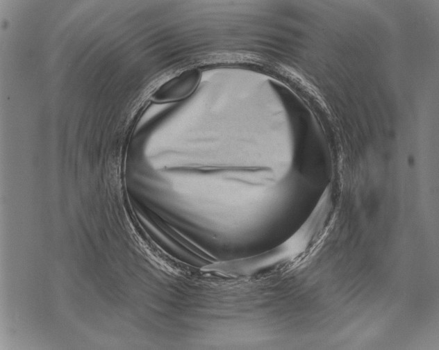 X0000073721033200608241227