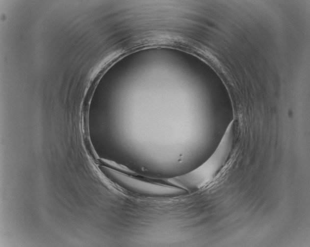 X0000073721034200608241227