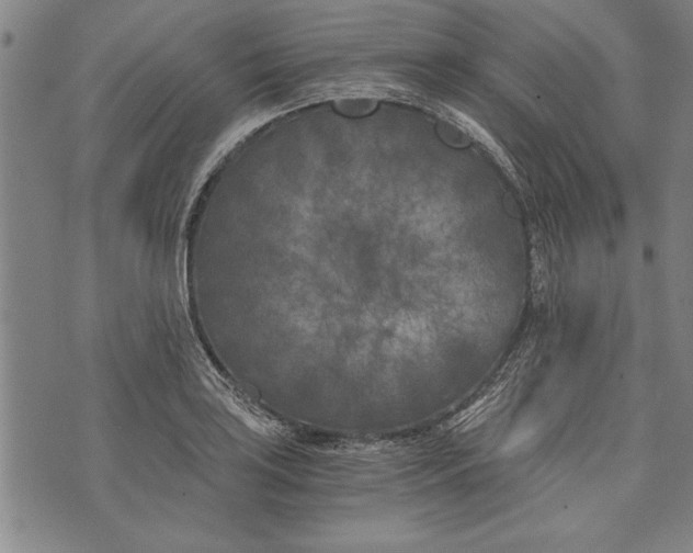 X0000073721035200608241227