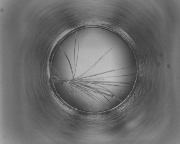 X0000073721036200608241227