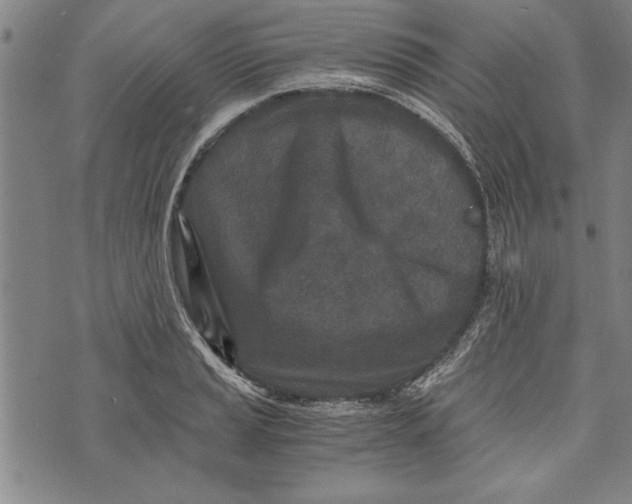 X0000073721037200608241227