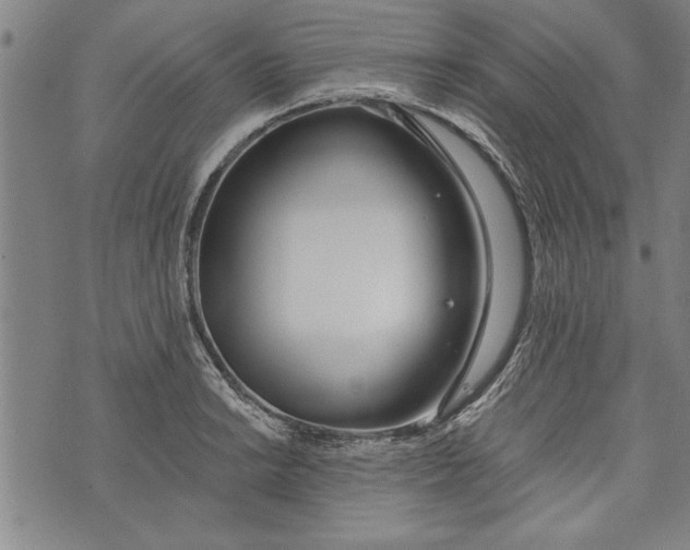 X0000073721038200608241227