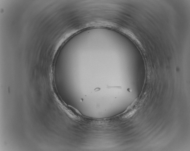 X0000073721040200608241227