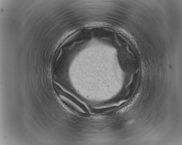 X0000073721041200608241227