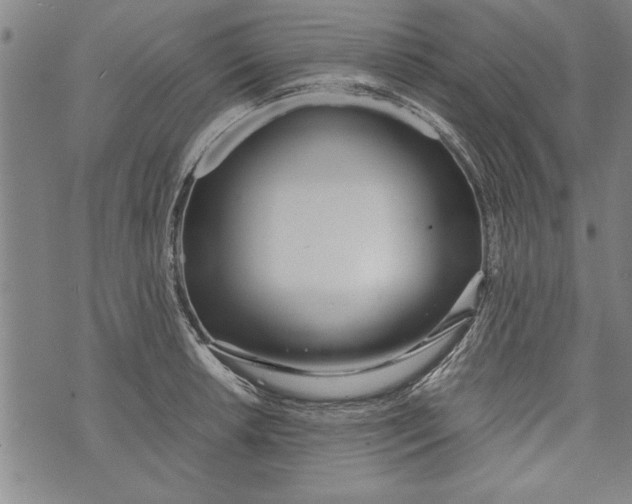 X0000073721042200608241227