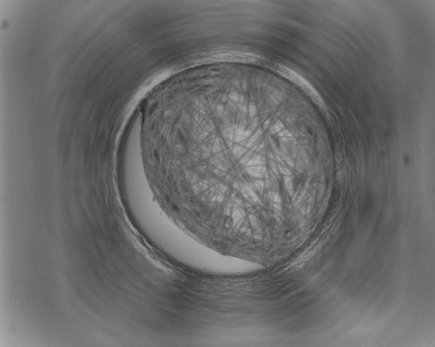 X0000073721043200608241227