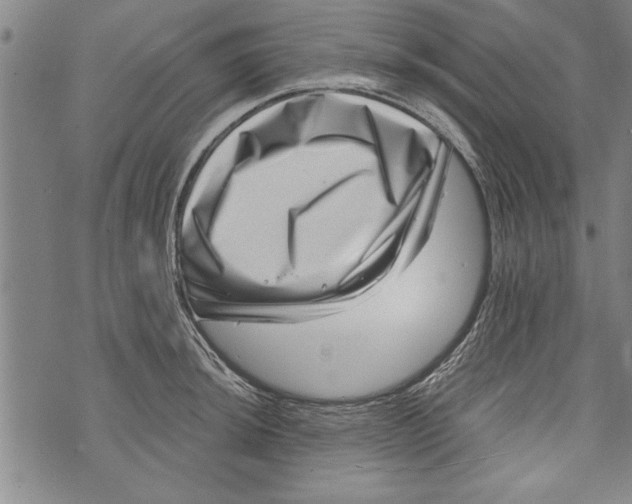 X0000073721044200608241227