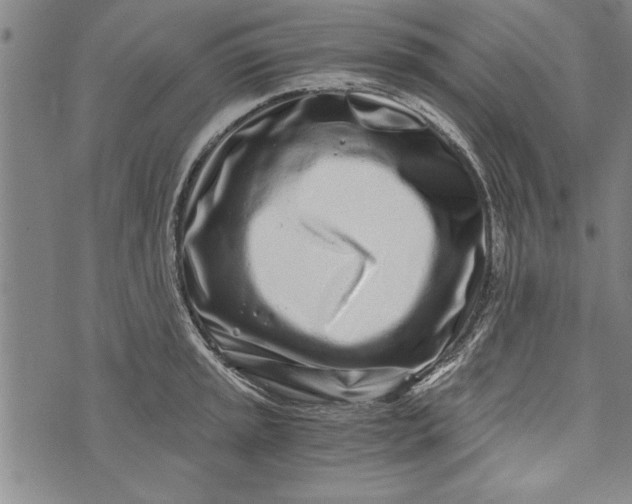 X0000073721045200608241227