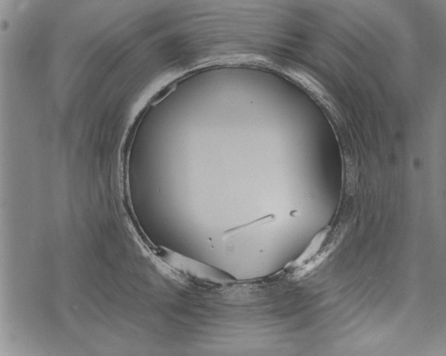 X0000073721046200608241227