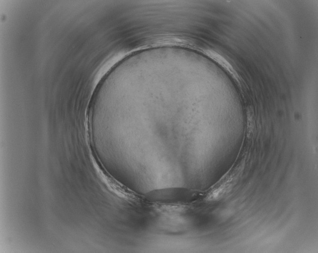 X0000073721047200608241227