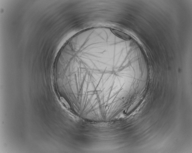 X0000073721048200608241227