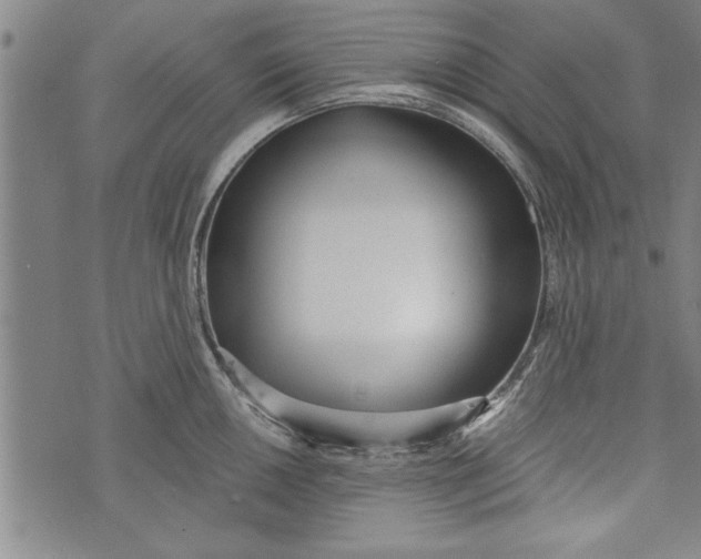 X0000073721050200608241227